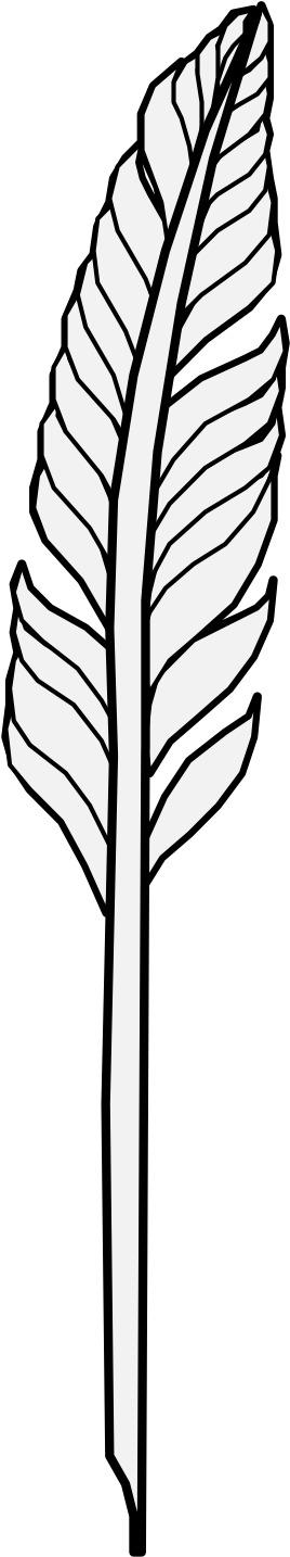 Details, Png Clipart (299x1461), Png Download