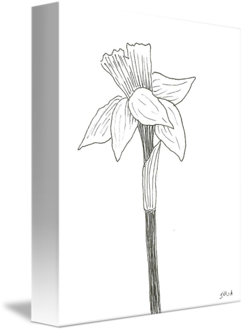 477 X 650 3 - Sketch Clipart (477x650), Png Download