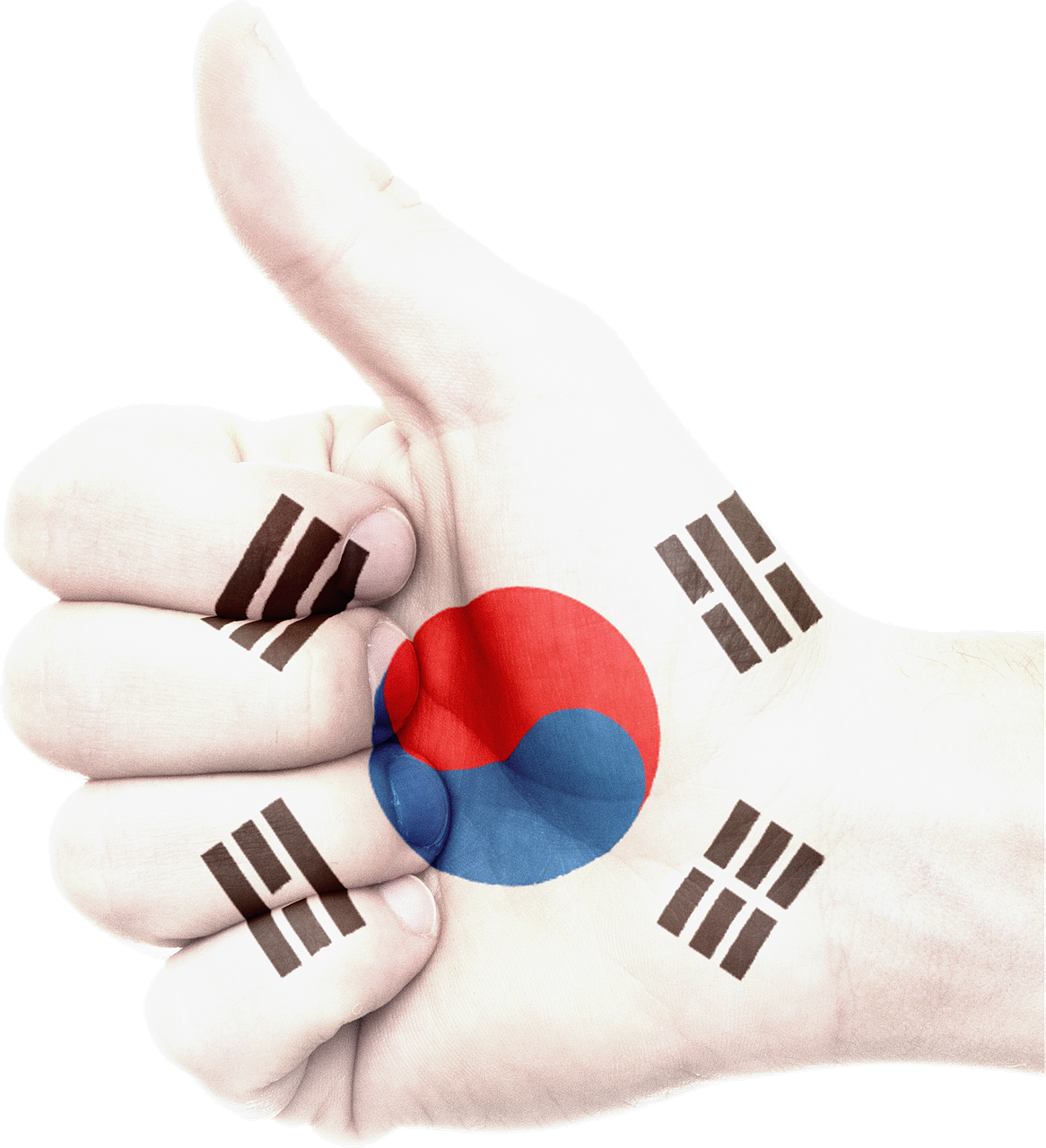Hand South Korea Flag - South Korea Flag Hand Clipart (1166x1280), Png Download