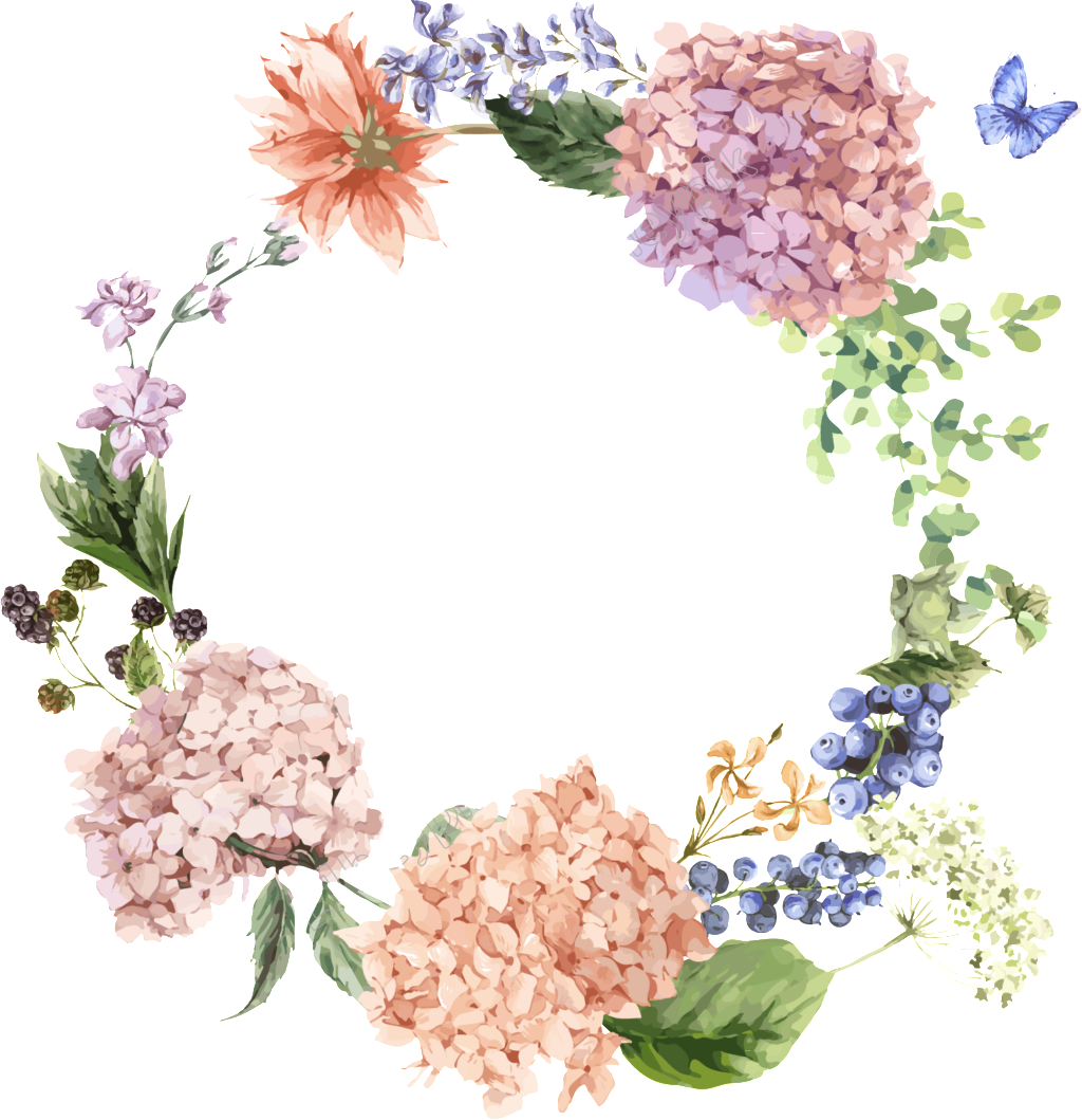 Hydrangea Png - Hydrangea Illustration Clipart (1024x1059), Png Download