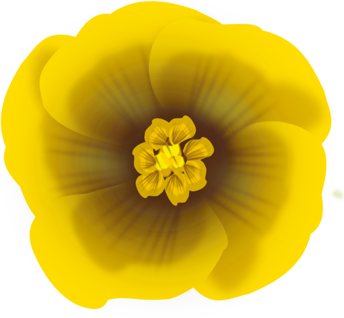 Computer Icons Yellow Flower Drawing Download - Yellow Flowers Png Clipart Transparent Png (750x750), Png Download