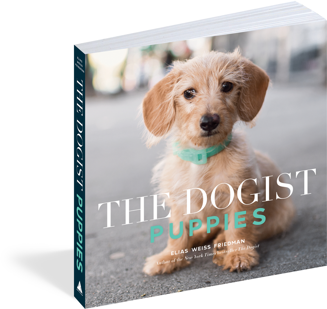 View Full Size Image Clipart (1500x1500), Png Download