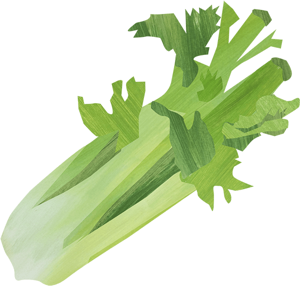 Celery Png - Chicory Clipart (1200x630), Png Download