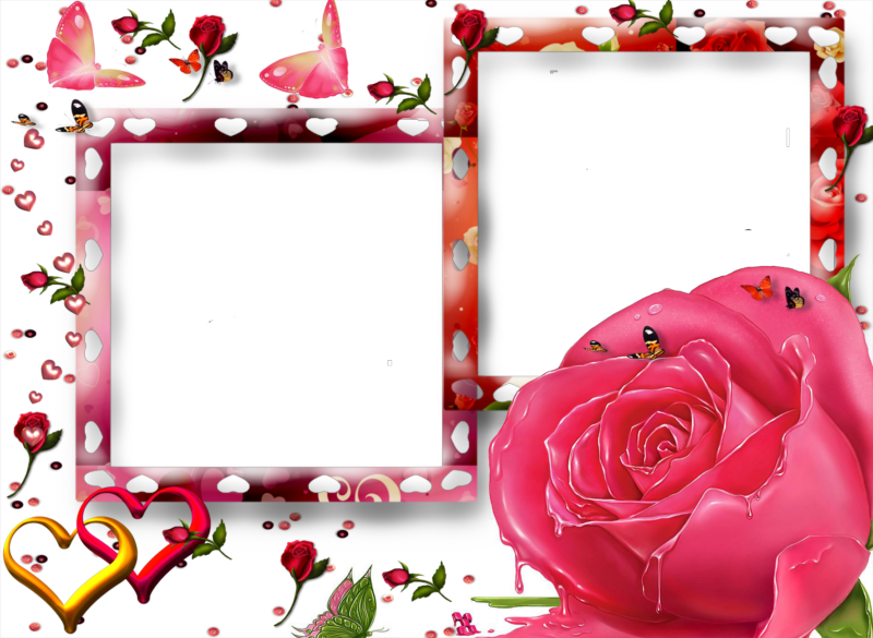 Marco Png Para Photoscape - Marco Para Fotos De Rosa Clipart (800x585), Png Download