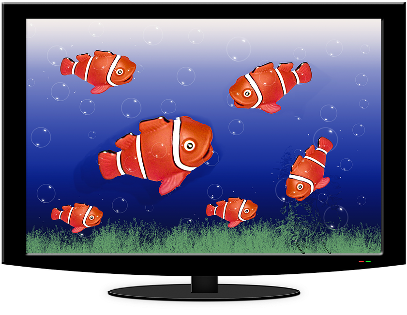 Aquarium, Tv, Fish, Water, Fish Swarm, Underwater World - Tv Fish Clipart (937x720), Png Download