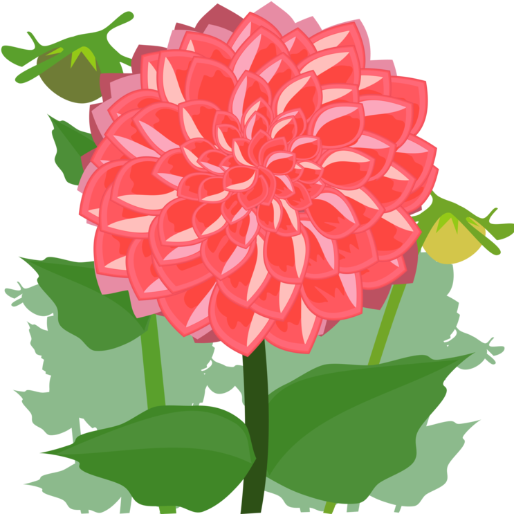 Dahlia Cut Flowers Drawing Daisy Family - Dahlia Clipart - Png Download (750x750), Png Download