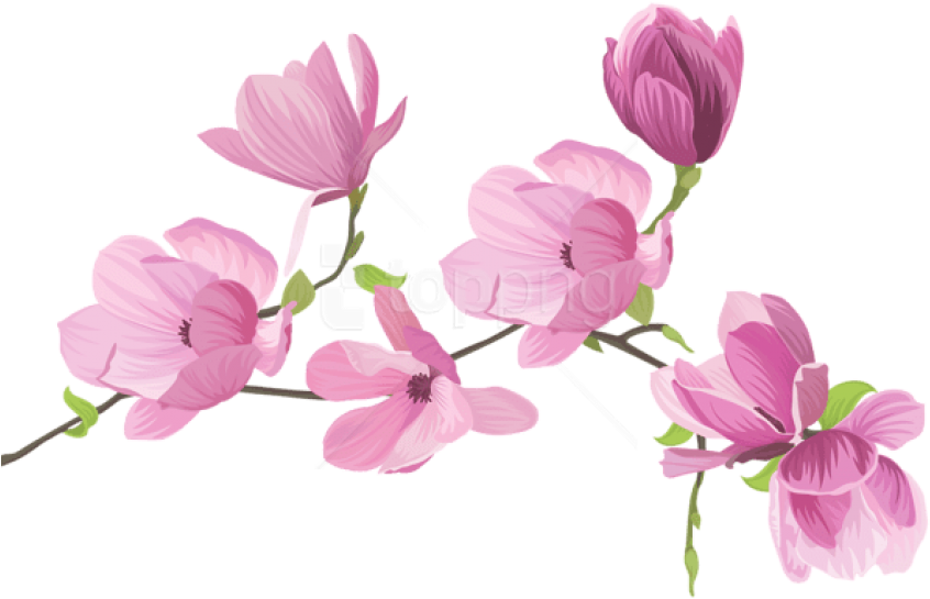 Free Png Spring Tree Flowers Png Images Transparent - Spring Flowers Png Clipart (850x552), Png Download