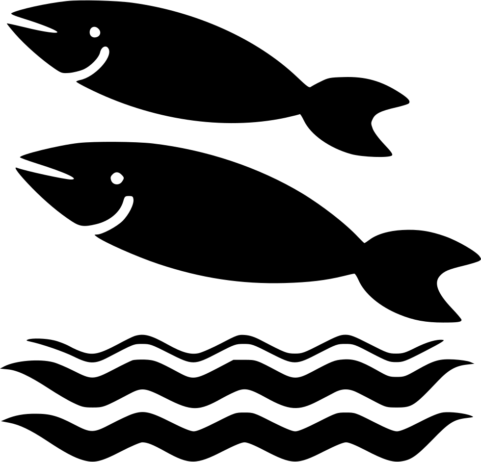 Png File Svg Clipart (980x942), Png Download