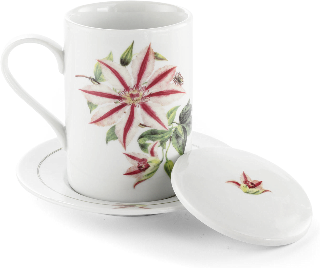 Picture Of Clematis Tea Cup Aboca Museum Collection - Ceramic Clipart (1280x1280), Png Download
