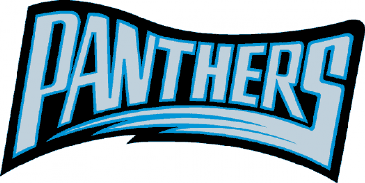 Carolina Panthers Iron On Stickers And Peel-off Decals - Carolina Panthers Clipart (750x930), Png Download