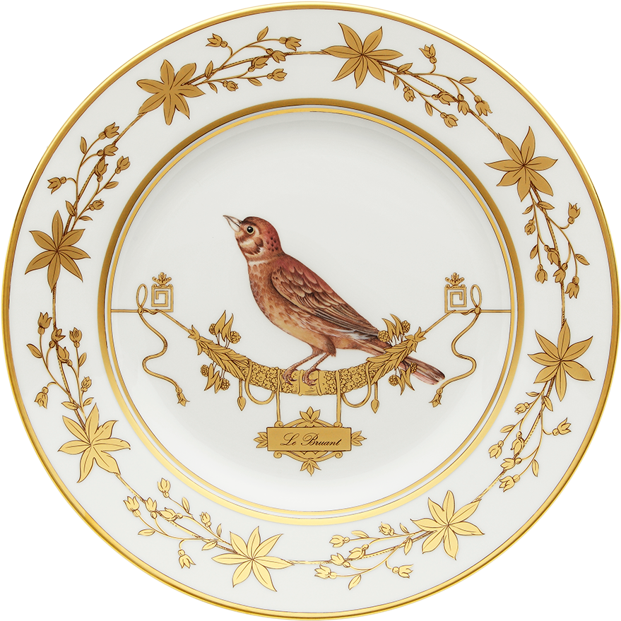 Dinner Plate Volière Le Bruat - Ginori Voliere Clipart (1412x1022), Png Download