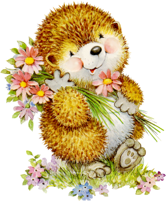 Hedgehog Png Clipart (600x699), Png Download