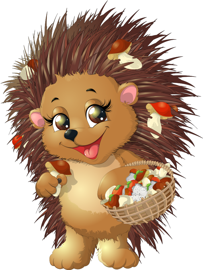 Hedgehog Drawing Clip Art - Png Download (1000x1000), Png Download