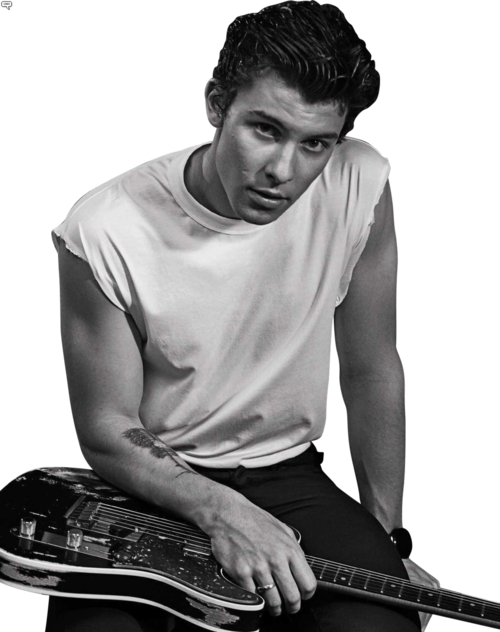 Shawn Mendes Nick Jonas Gay Fake Clipart (500x632), Png Download