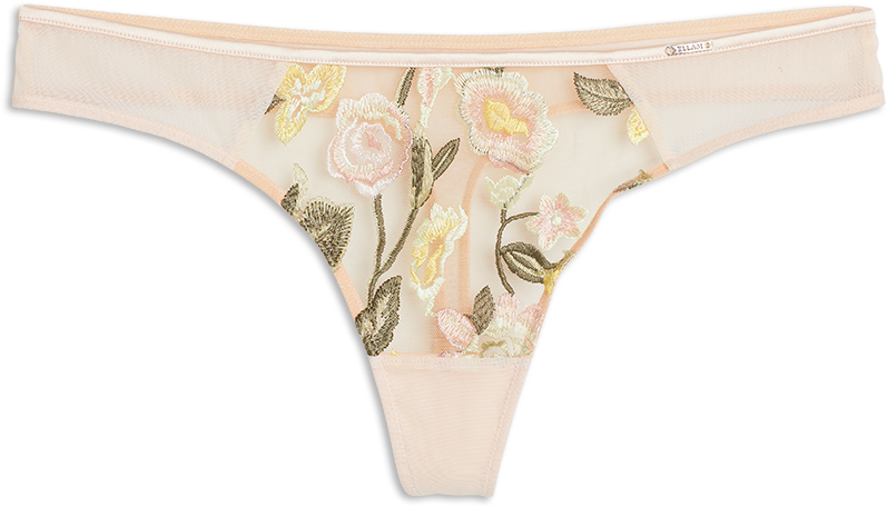 Thong Low With Embroidery Skin - Underpants Clipart (888x888), Png Download