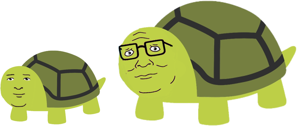 9687189 - Android Turtle Clipart (1000x800), Png Download
