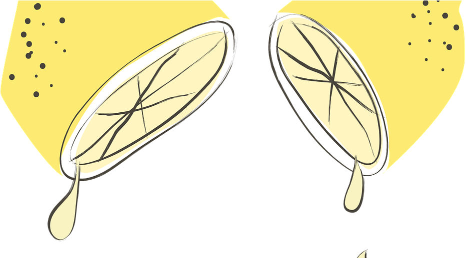 I Love Everything About Lemons - Remedios Caseros Para Eliminar Polillas Clipart (932x517), Png Download