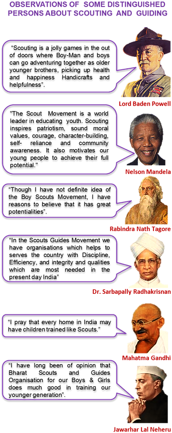 Carnivore Clipart (353x875), Png Download