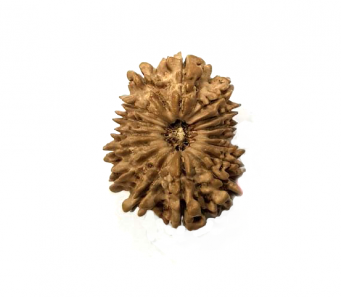 Bronze Clipart (700x850), Png Download