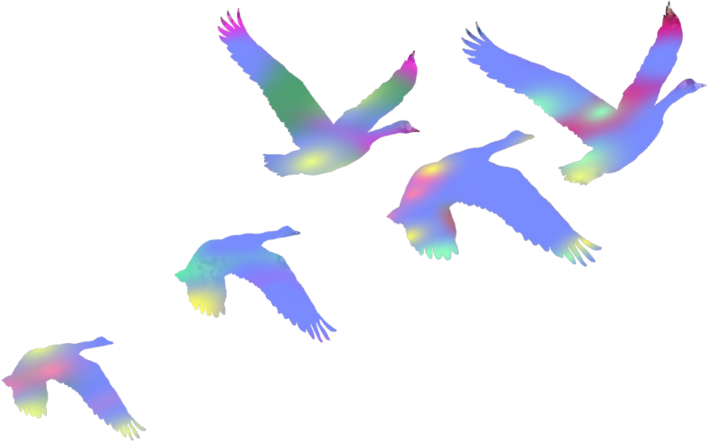 #birds #swans #flyingbirds #flaying #colorful #duce - Flock Clipart (1024x694), Png Download