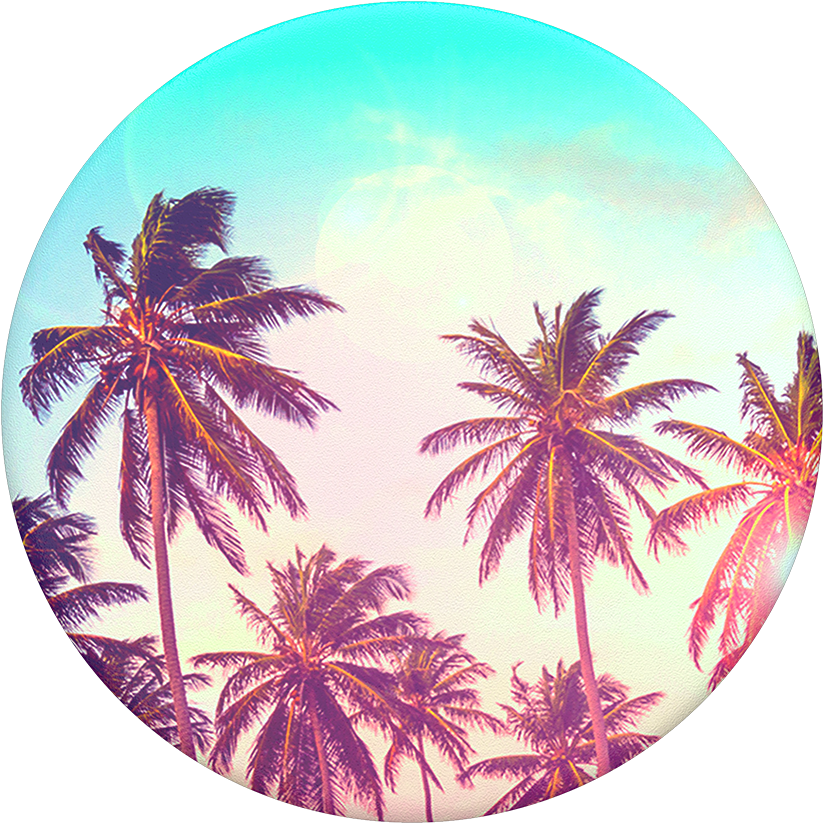 Palm Trees, Popsockets - Palm Tree Popsocket Clipart (1000x1000), Png Download