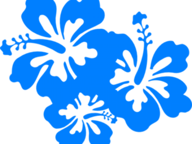 Buttercup Clipart Hawaiian Flower - Hibiscus Flowers Clip Art - Png Download (640x480), Png Download