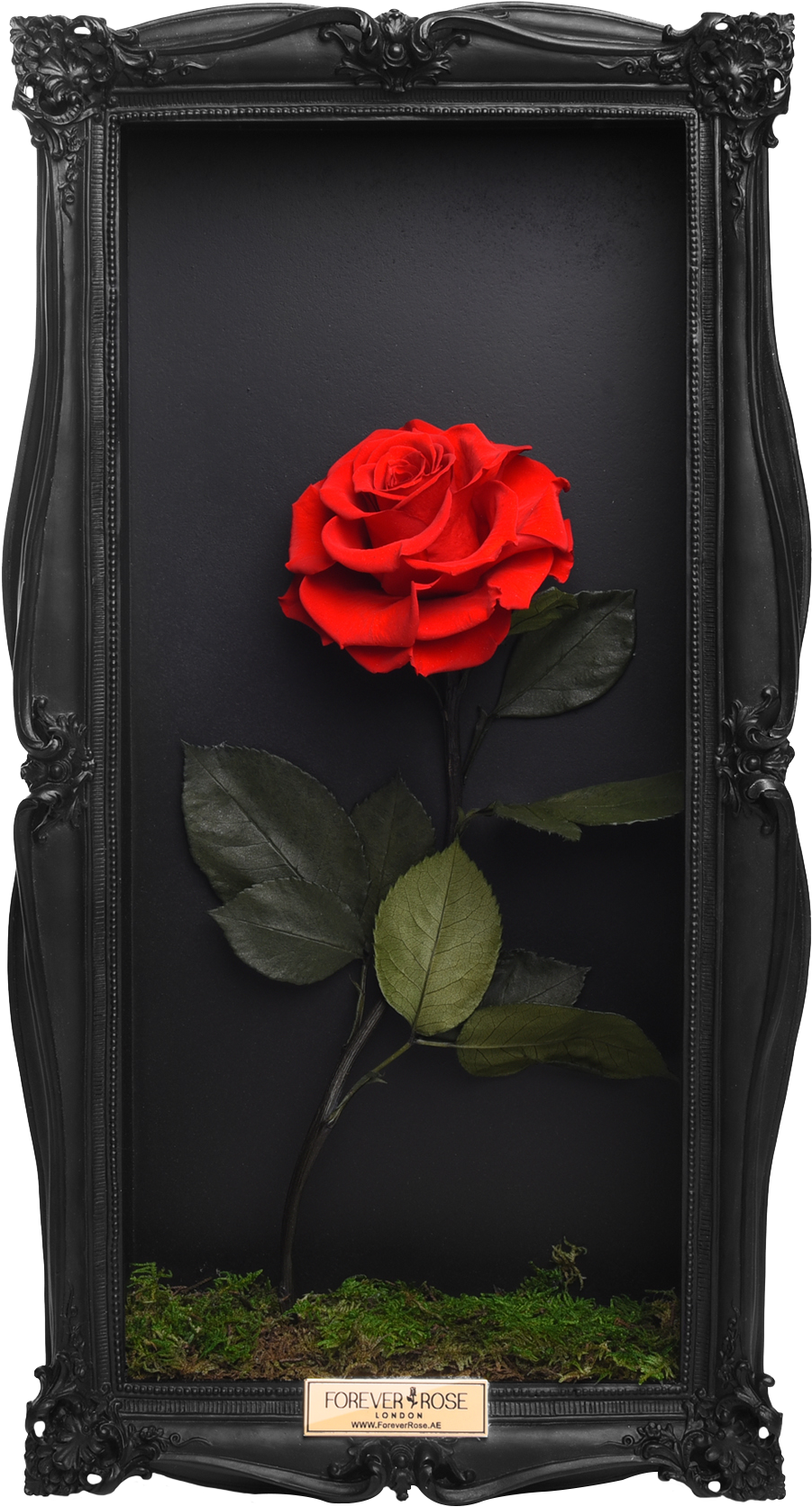 Wall Frame - Floribunda Clipart (989x1741), Png Download