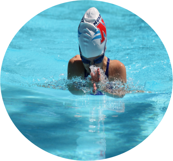 Summer Swimming Carnival - Swimming Clipart (590x549), Png Download
