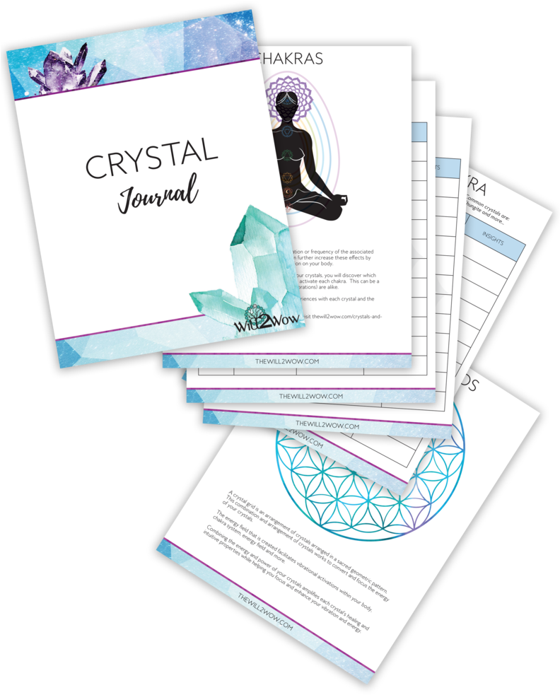 Flyer Clipart (791x1024), Png Download