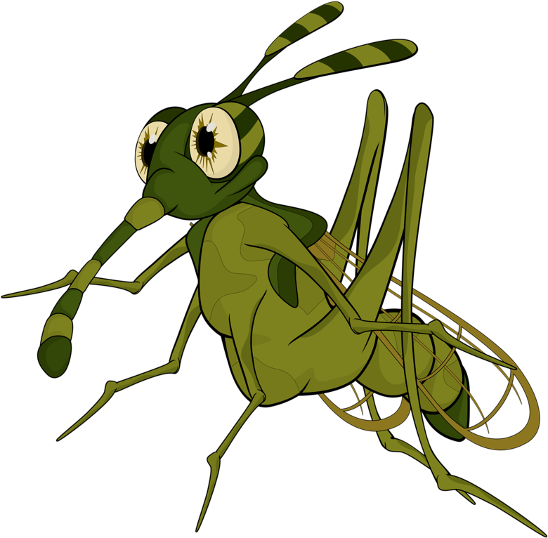Terrible Mosquito - Illustration Clipart (800x787), Png Download
