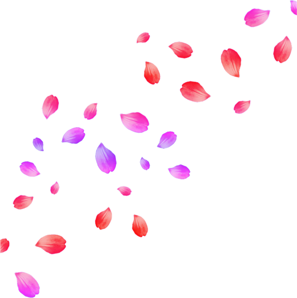 #flower #petals #flowerpetals #freetoedit Clipart (1024x1062), Png Download