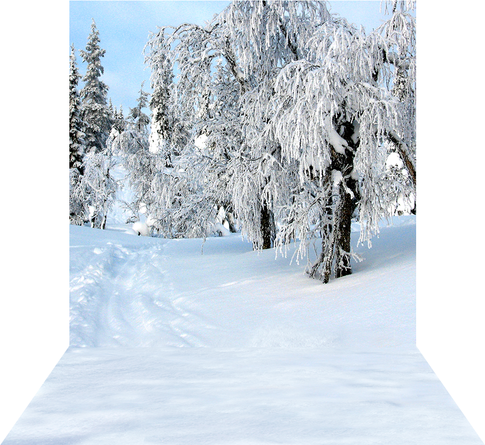 3 Dimensional View Of - Snow Clipart (1000x1000), Png Download