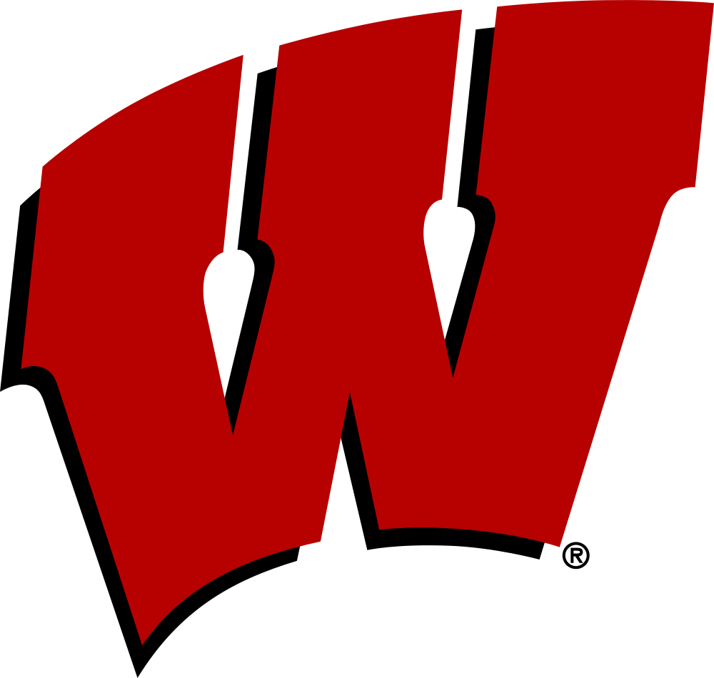 1000 X 950 3 0 - Wisconsin Badgers Drawing Clipart (1000x950), Png Download