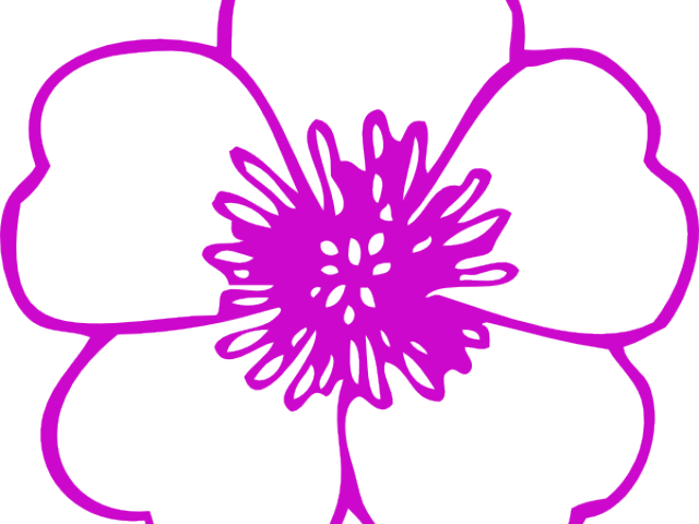 Pink Flower Clipart 2 Flower - Buttercup Clipart - Png Download (640x480), Png Download