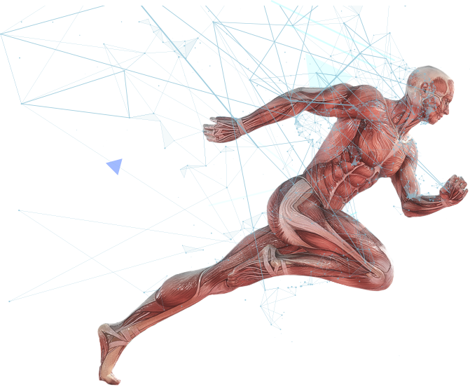 Slider-body - Human Athlete Clipart (671x552), Png Download