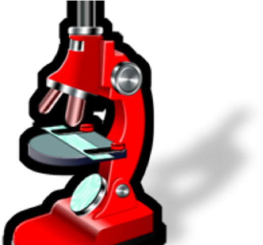 Microscope Clipart (640x480), Png Download