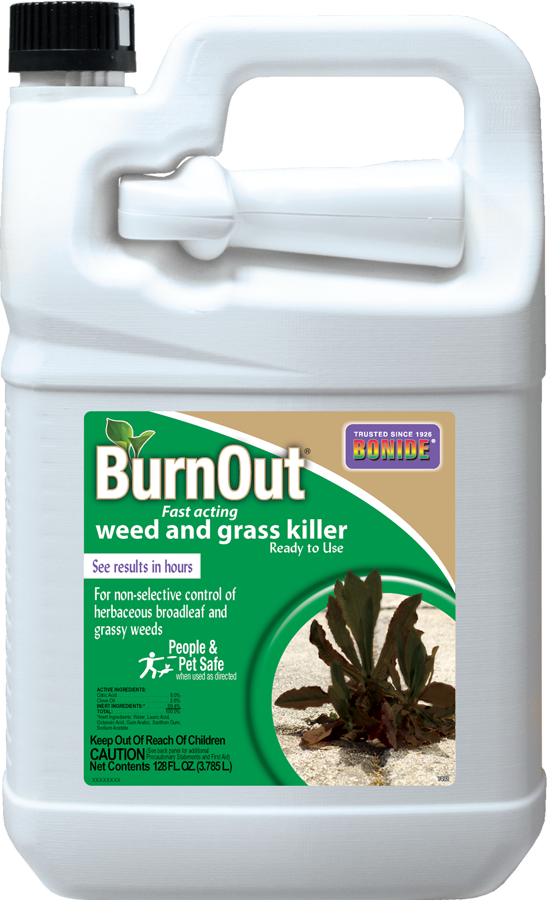 Gal Rtu - Bonide Neem Oil Clipart (547x900), Png Download