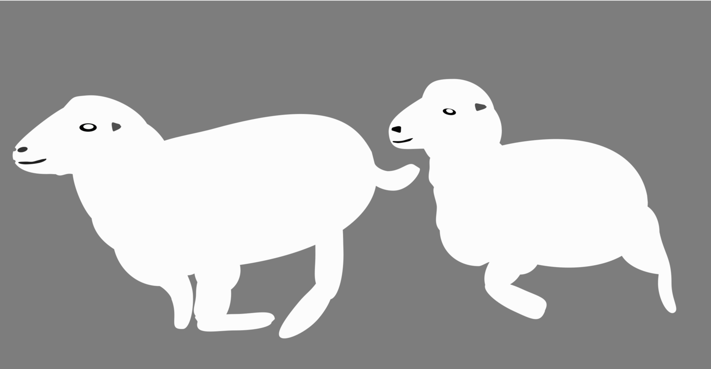 Sheep Goat Mammal Macropodidae Computer Icons - Sheep Clipart (1445x750), Png Download