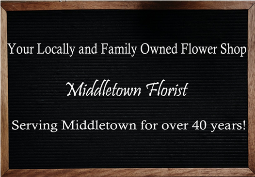 Acuitzeramo Michoacan Clipart (960x400), Png Download