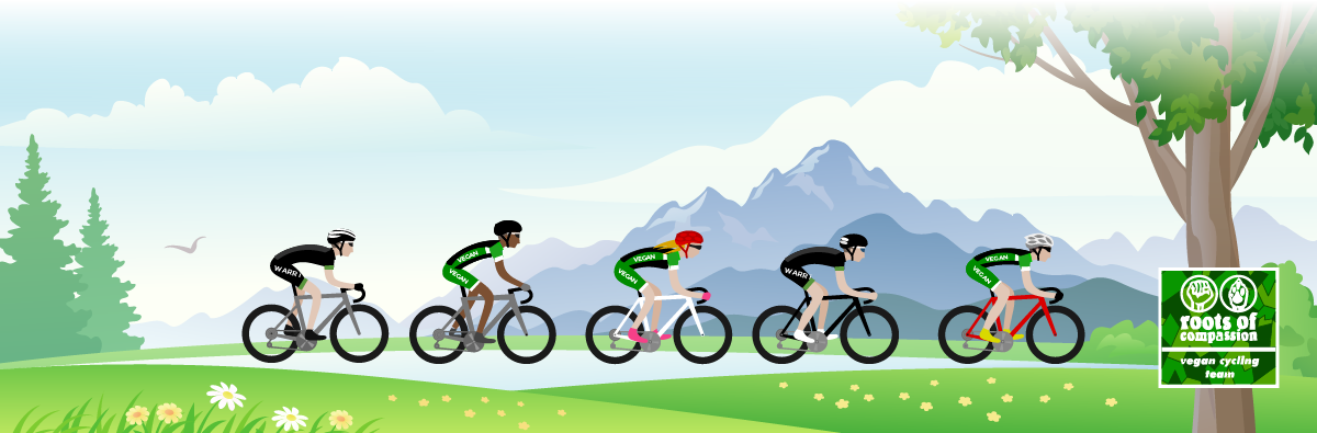 Road Bicycle Clipart (1200x395), Png Download