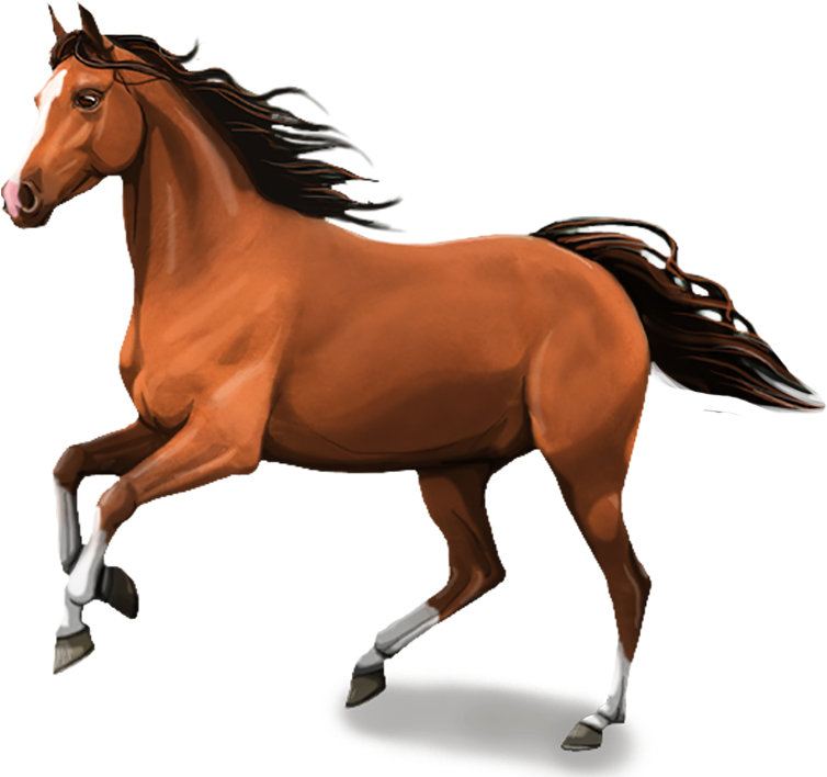 Horses Png - Horse Png Clipart (753x750), Png Download