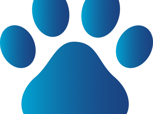 Dog Paw Print Clipart - Paw Patrol Paws Png Transparent Png (640x480), Png Download