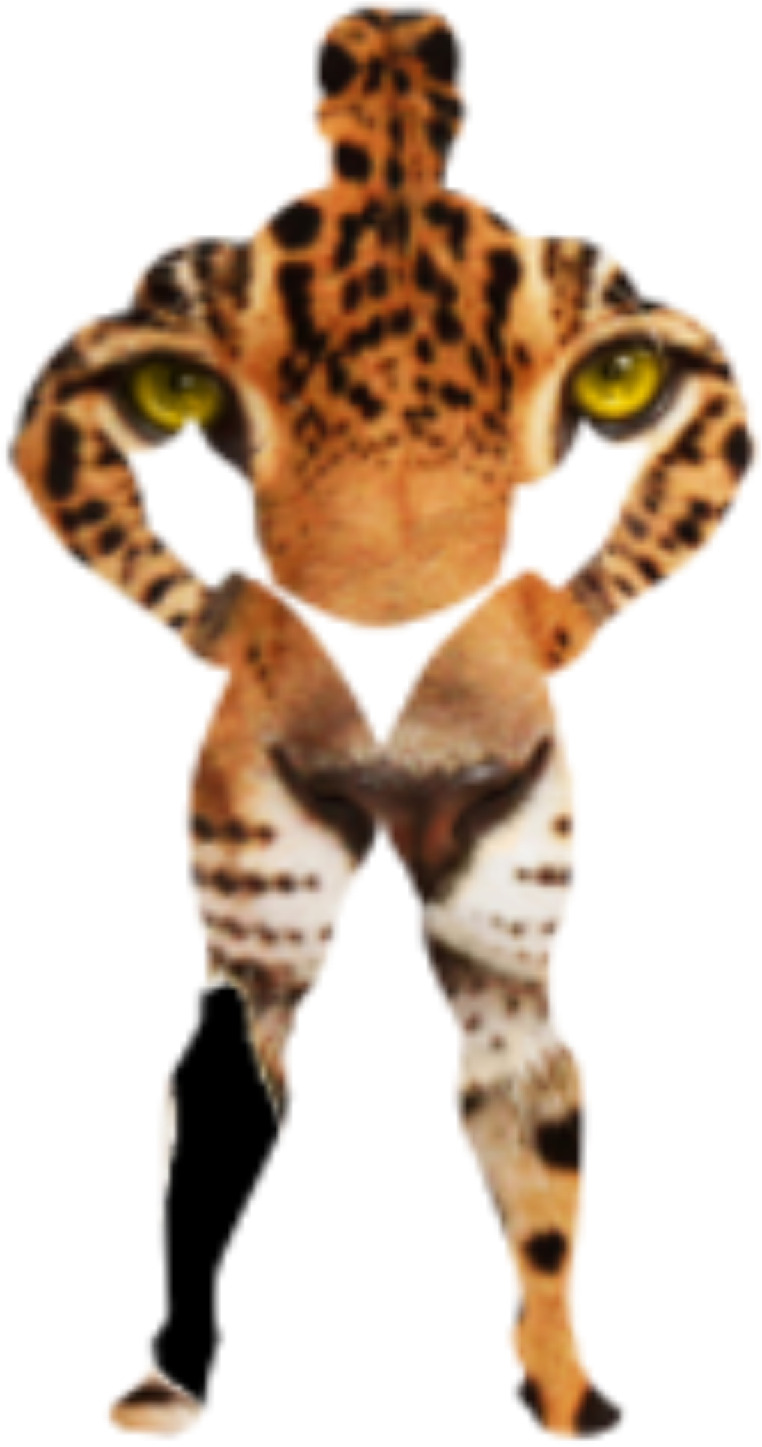 This Free Icons Png Design Of Leopard In The Body Of - Cheetah And Snow Leopards Clipart (1095x2079), Png Download