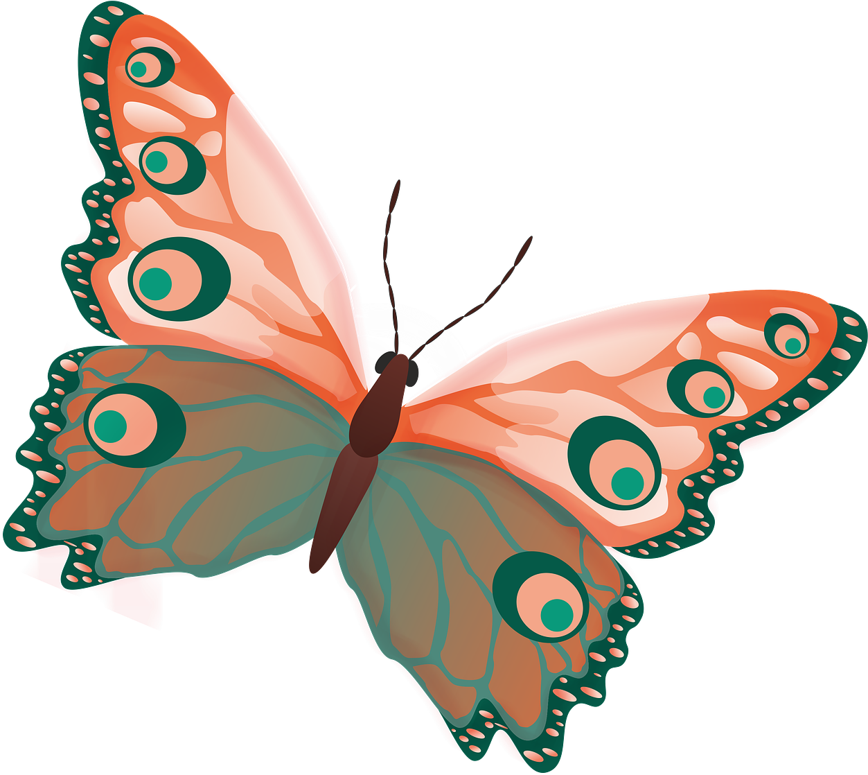 Butterfly Png Image Free Picture Download Pngimgcom - Butterfly Clipart (1253x1118), Png Download
