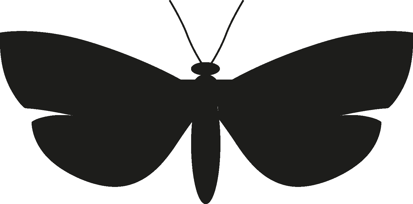 Net wing. Силуэт бабочки. Бабочка иконка. Человек в бабочке иконка.