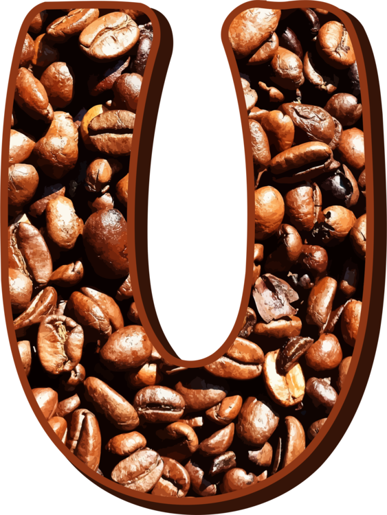Jamaican Blue Mountain Coffee Cafe Coffee Bean Arabica Clipart (563x750), Png Download