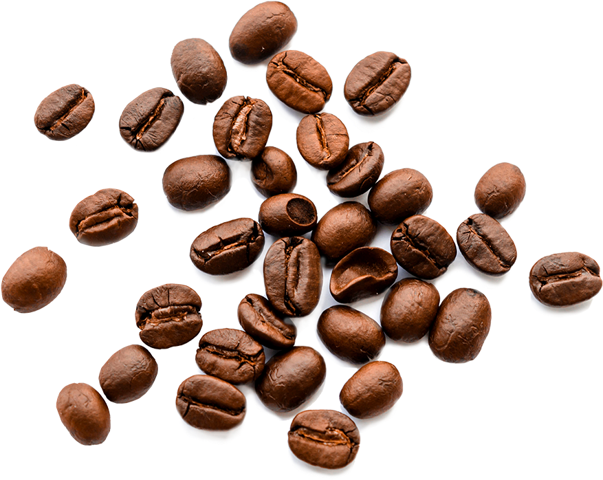 Beans - Lista Alimentos Amargos Clipart (900x723), Png Download