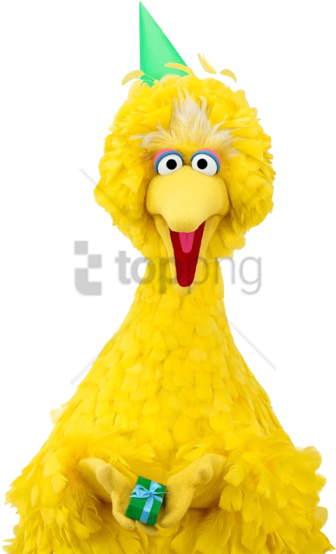 Free Png Download Big Bird Happy Birthday Png Images - Big Bird No Background Clipart (480x791), Png Download