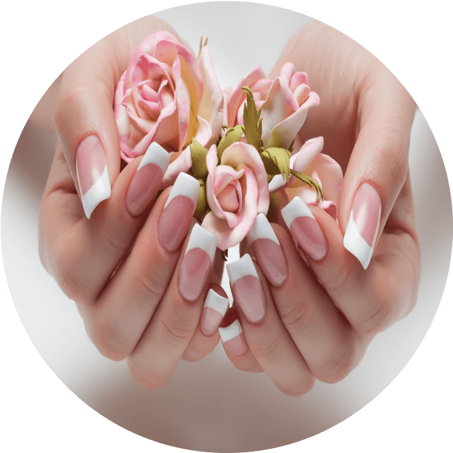 Acrylic Nails , Png Download - Garden Roses Clipart (661x661), Png Download