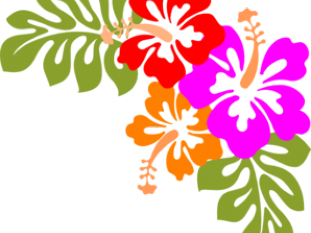 Hawaii Border Cliparts - Hawaiian Flowers Transparent Background - Png Download (640x480), Png Download